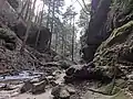 Looking downstream from the head of the gorge