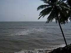 View from Kadalundi Bridge