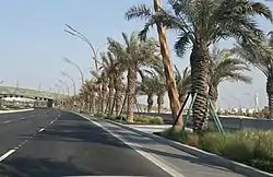 Dukhan Road in Al Wajbah