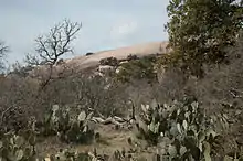 View of Enchanted Rock from base camp