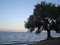 Livanates, view of the coast overlooking Euboea