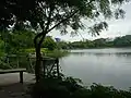 View of the Lotus Pond