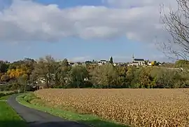 A general view of Saint-Michel-sur-Loire