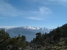 View of Mt. San Gorgonio to the south from the saddle of Sugarloaf