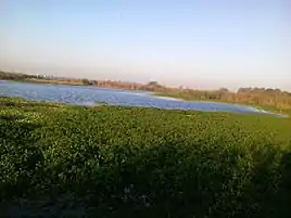 View of Yamuna from Okhla Sanctuary