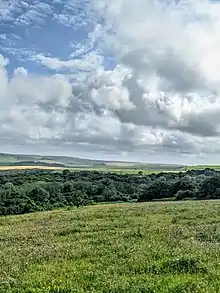 Ashcombe Bottom landscape