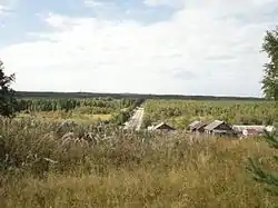 View of the village of Manga and the R21 regional road in Pryazhinsky District