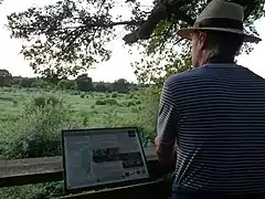 Viewing platform at Knepp Wildland