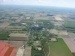 Aerial view of Forest