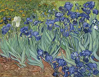 Irises, 1889