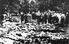 The citizens of the Vinnytsia district looking for their relatives in a mass execution of citizens during the Great Purge