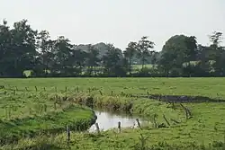 The Arlau river at Viöl