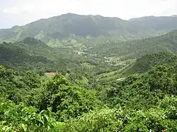 View from PR-184 in Muñoz Rivera barrio in Patillas