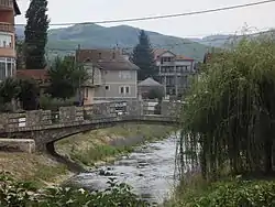 The Binač Morava flows through Viti