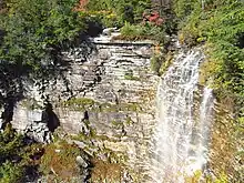 A waterfall in a wooded area against striated grayish rock