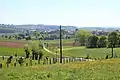 hilly countryside in Brakel