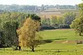 hilly countryside in Zottegem