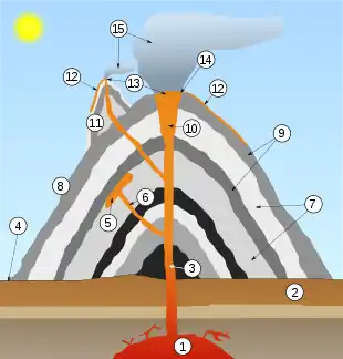 Image 7Cross-section through a stratovolcano (vertical scale is exaggerated): Large magma chamberBedrockConduit (pipe)BaseSillDikeLayers of ash emitted by the volcanoFlankLayers of lava emitted by the volcanoThroatParasitic coneLava flowVentCraterAsh cloud (from Volcanism)