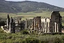 Ruins of Roman Volubilis