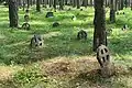 Round crosses in the cemetery are unique to Vormsi and Gotland