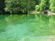 Bosna river pond in Ilidža