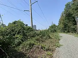 The W&OD crushed limestone bridle trail just east of the junction with Wiehle Avenue (VA-828) in Reston, Virginia in August 2021.