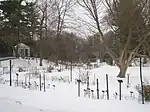 Garden in winter