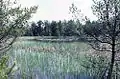 Lawrence A. and Mary Bell Wade Memorial Nature Sanctuary in Allegan County