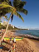 Waikiki Beach view