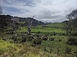 Waipatukahu Valley