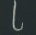 Fish hook