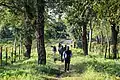 Tourists walking towards Medla watch tower