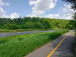 Paved path through a wooded area by a river.