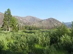 Warm Springs Meadow in White Cloud Mountains