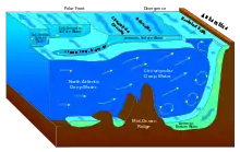 In the photo there is North Atlantic Deep Water moving to the right towards the Antarctica land mass while Antarctic Bottom Water moves from the Antarctica land mass downwards towards the ocean floor and to the left. In the middle of these two water masses we see Circumpolar Deep Water being formed from the combination of these masses. The Circumpolar Deep Water moves towards the right toward the Antarctica land mass. There is additional surface water descriptions and arrows indicating their direction.