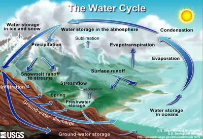 Image 3The water cycle