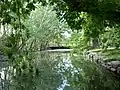 Stream in Zoo Boise