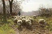 Sheep Herder