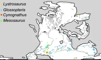 Distribution of four Permian and Triassic fossil groups used as biogeographic evidence for continental drift, and land bridging. Location of Mesosaurus remains shown by green squares