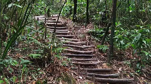 Trekking trail, Wei Sawdong waterfall