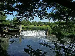 Wier on river with cows in the field beyond.