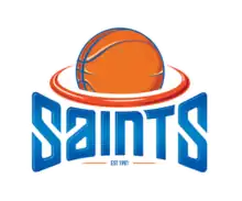 Wellington Saints logo