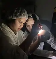 Candling an egg to check development close to hatching