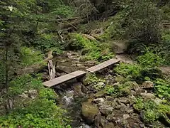 The Skyline-to-the-Sea Trail passing over Waddell Creek.