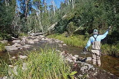 Fly fishing the west branch