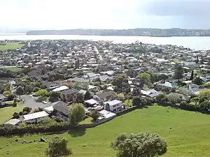 Western part of the suburb seen from Māngere Mountain.