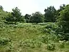 Market Weston Fen