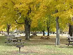 Some of more than 100 picnic tables northwest of the pavilion