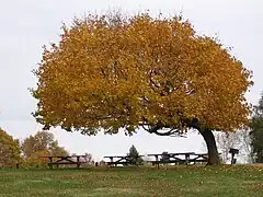 Distinctive picnic spot, west side