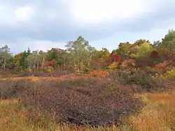 Komado wetlands in Shōwa, Fukushima